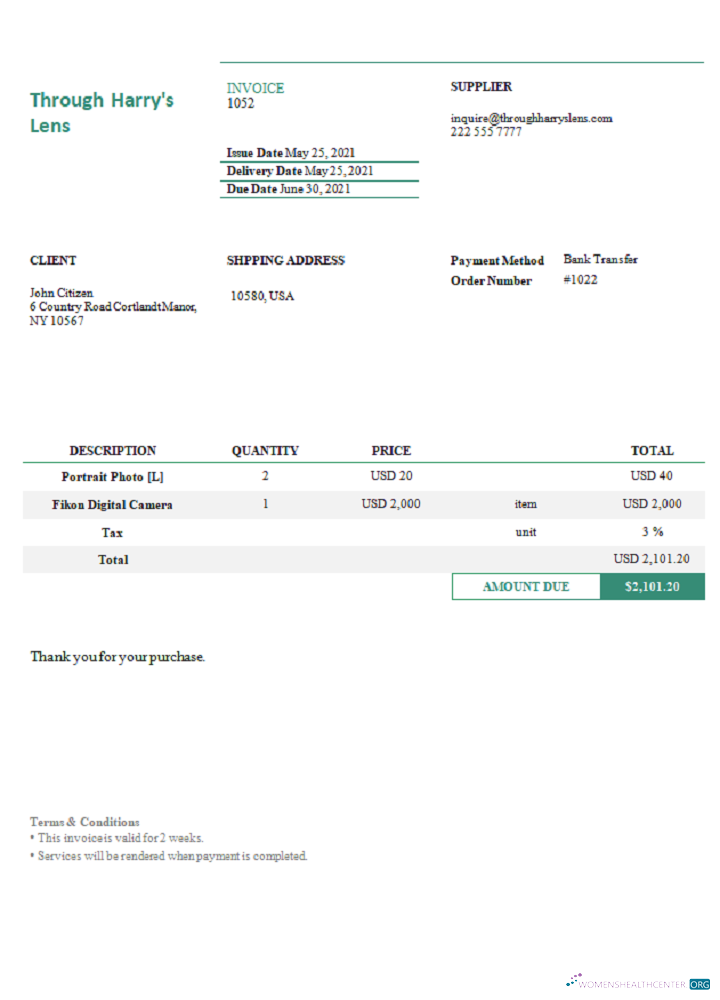 Download USA Through Harry’s Lens invoice Photoshop template